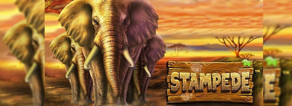 Stampede Slots