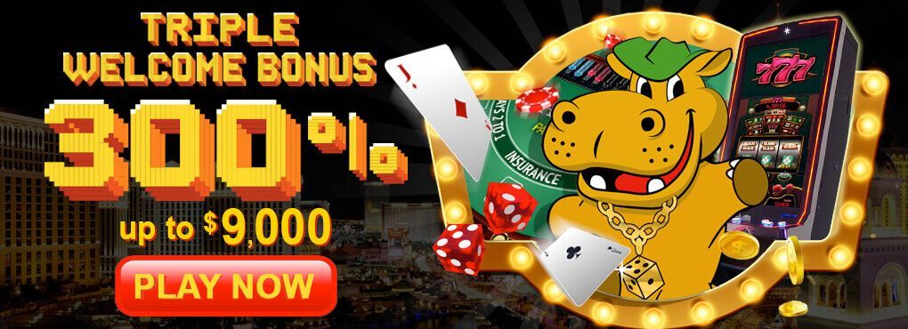 Lucky Hippo Casino